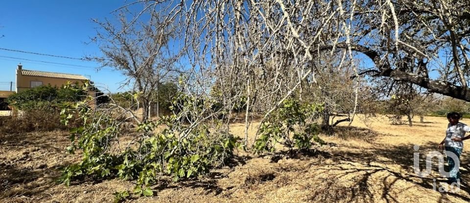 Terreno em Luz de Tavira e Santo Estêvão de 6 820 m²