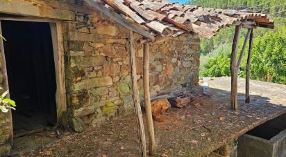 Maison de village T3 à Sobreira Formosa e Alvito da Beira de 193 m²