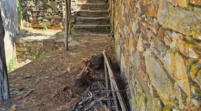 Maison de village T3 à Sobreira Formosa e Alvito da Beira de 193 m²