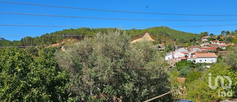 Maison de village T3 à Sobreira Formosa e Alvito da Beira de 193 m²