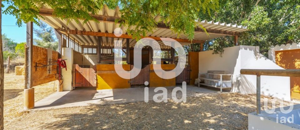 Quinta T6 em Luz de Tavira e Santo Estêvão de 418 m²