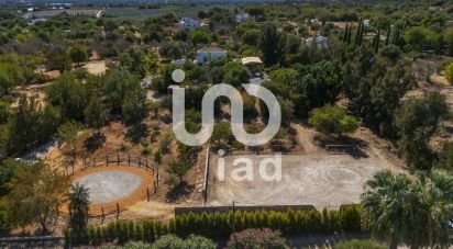 Ferme T6 à Luz de Tavira e Santo Estêvão de 418 m²