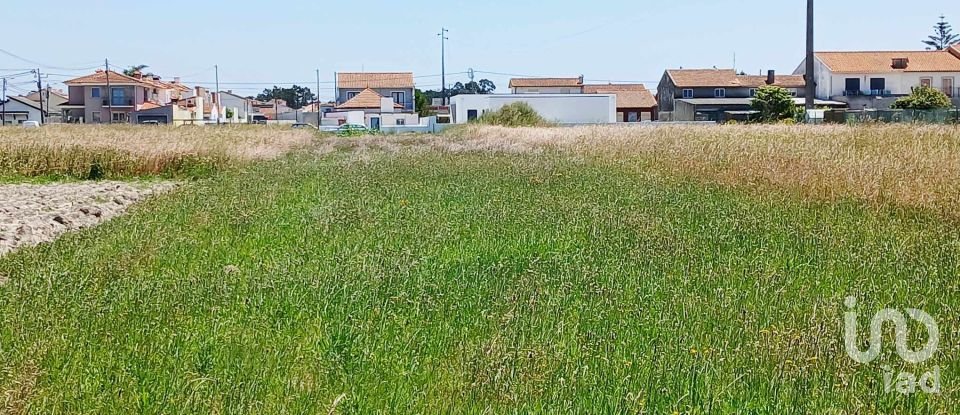 Casa tradicional T4 em Gafanha da Encarnação de 157 m²