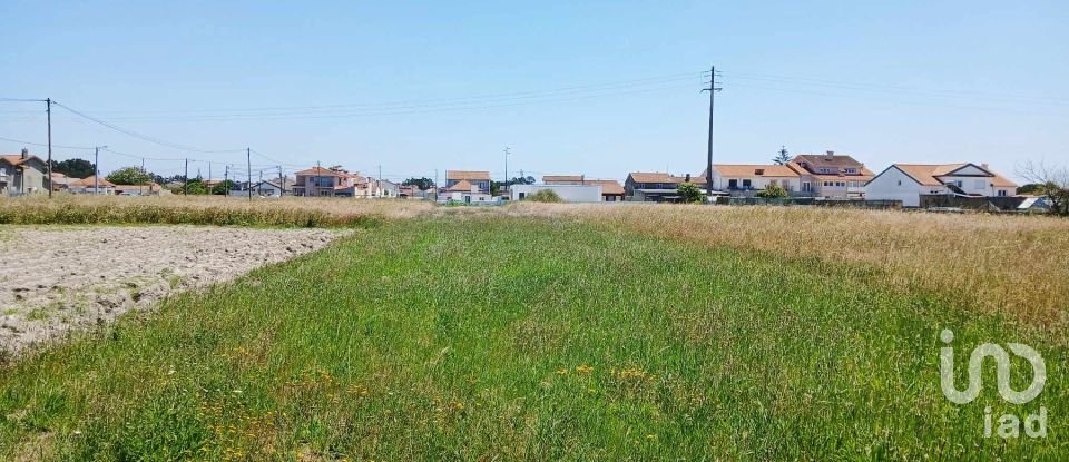 Casa tradicional T4 em Gafanha da Encarnação de 157 m²