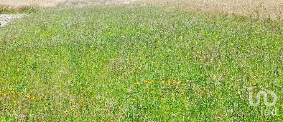 Casa tradicional T4 em Gafanha da Encarnação de 157 m²