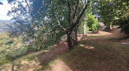 Farm T3 in Covas of 255 m²