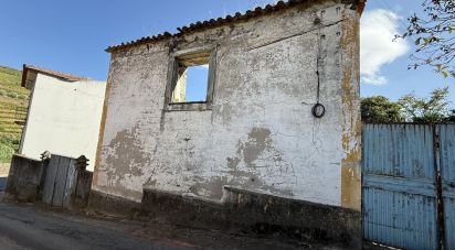 House T2 in Peso da Régua e Godim of 265 m²
