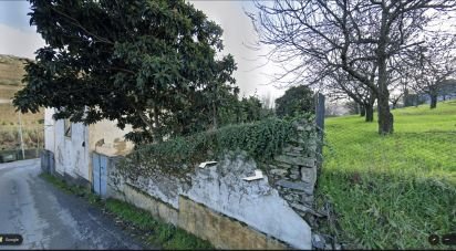 House T2 in Peso da Régua e Godim of 265 m²