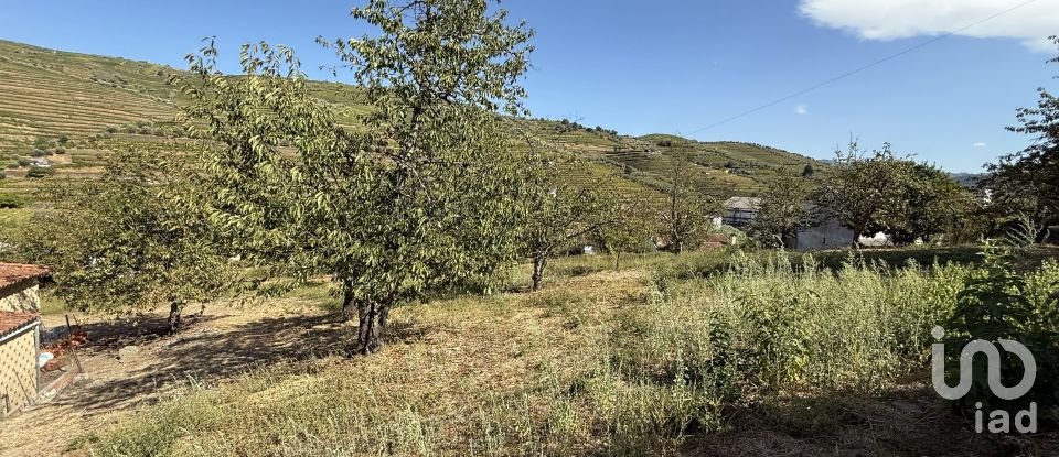 Moradia T2 em Peso da Régua e Godim de 265 m²