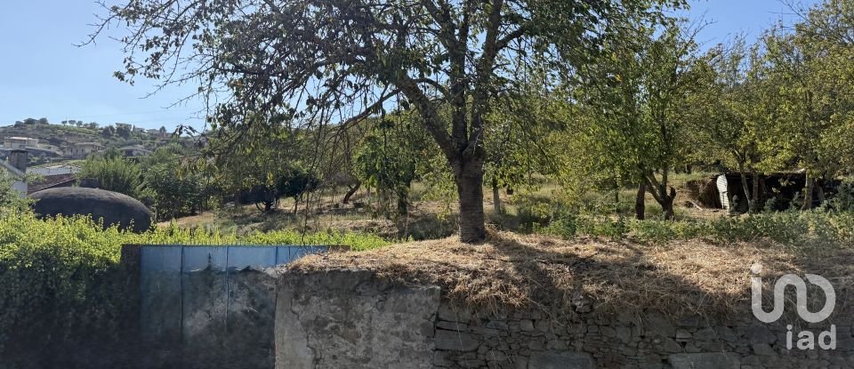 Moradia T2 em Peso da Régua e Godim de 265 m²