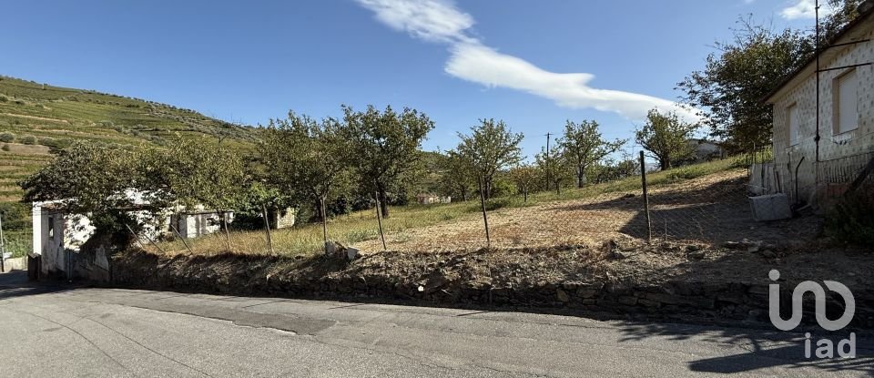 Moradia T2 em Peso da Régua e Godim de 265 m²