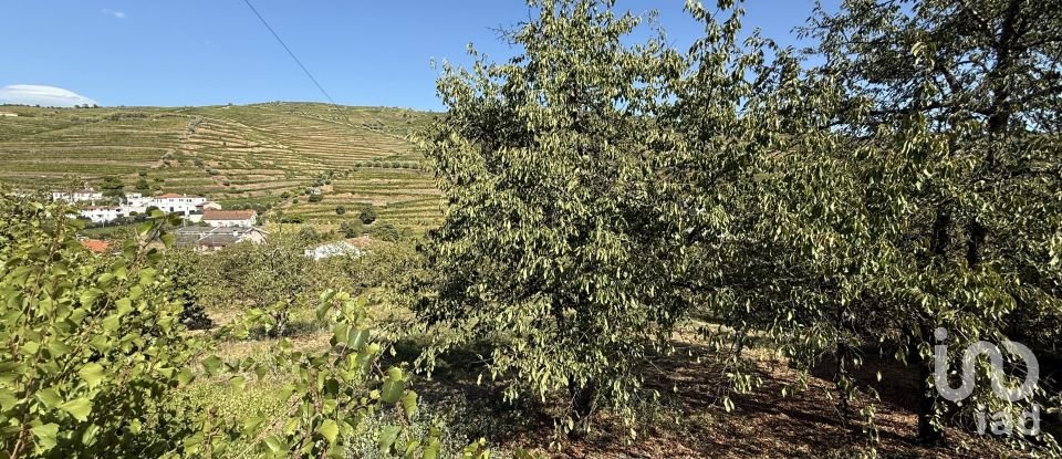 Moradia T2 em Peso da Régua e Godim de 265 m²