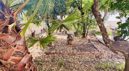 Maison T2 à Pinhal Novo de 180 m²