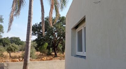 Gîte T3 à São Brás de Alportel de 150 m²