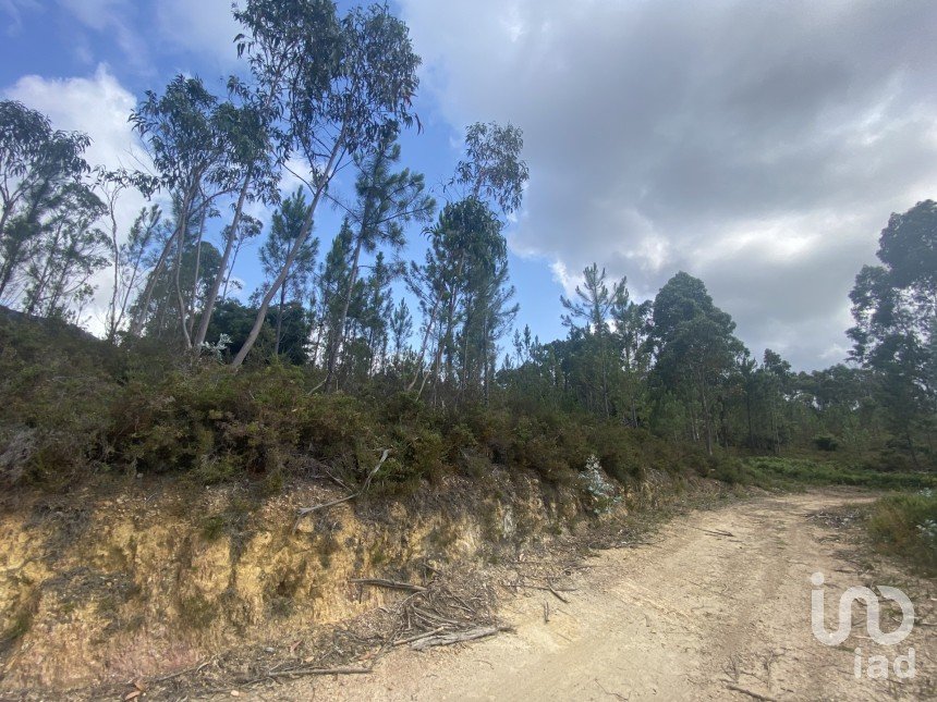 Building plot in Sopo of 19,600 m²