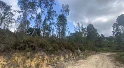 Building plot in Sopo of 19,600 m²