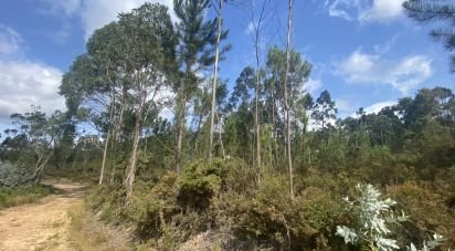 Building plot in Sopo of 19,600 m²