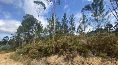 Building plot in Sopo of 19,600 m²