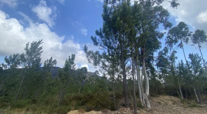 Building plot in Sopo of 19,600 m²