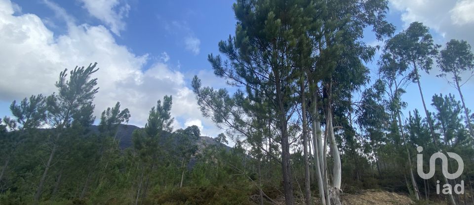 Building plot in Sopo of 19,600 m²