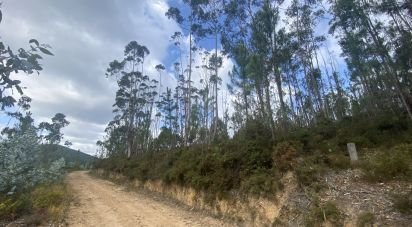 Building plot in Sopo of 19,600 m²