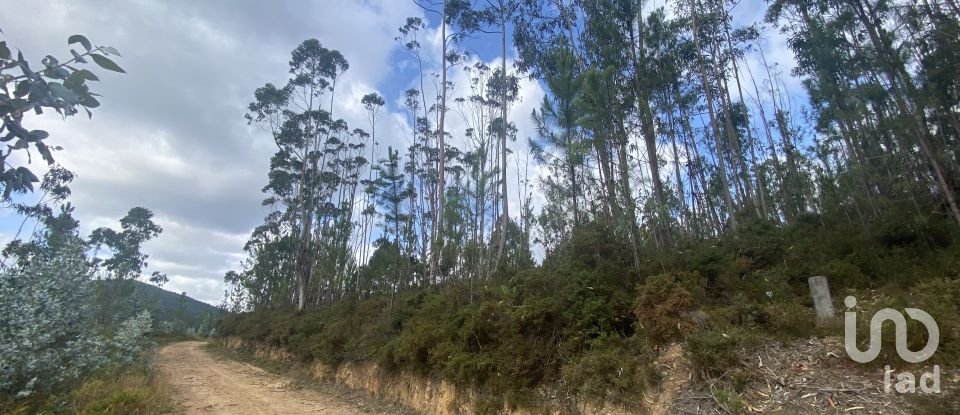 Building plot in Sopo of 19,600 m²