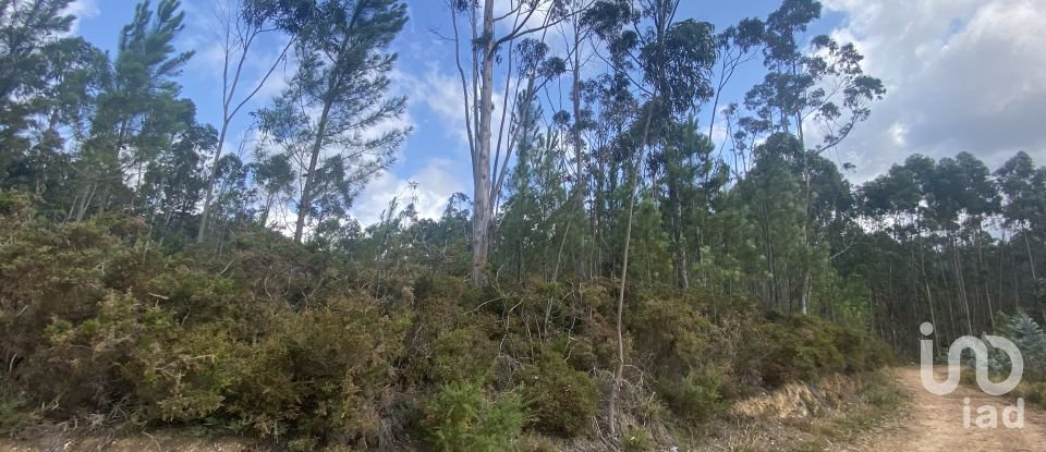 Building plot in Sopo of 19,600 m²