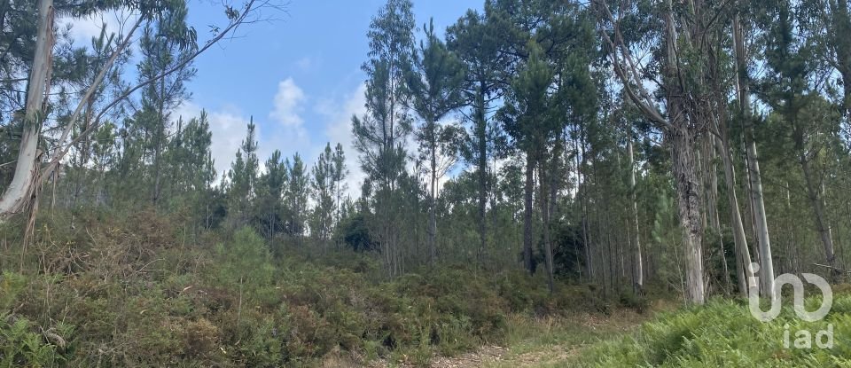 Building plot in Sopo of 19,600 m²