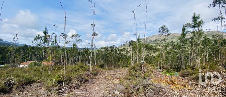 Building plot in Sopo of 19,600 m²