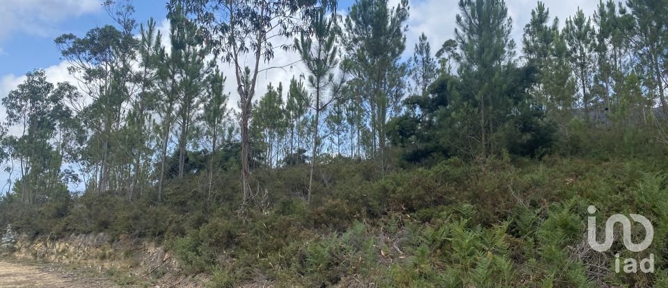 Building plot in Sopo of 19,600 m²