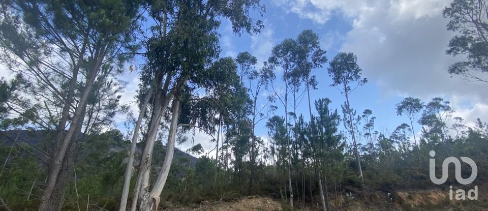 Building plot in Sopo of 19,600 m²