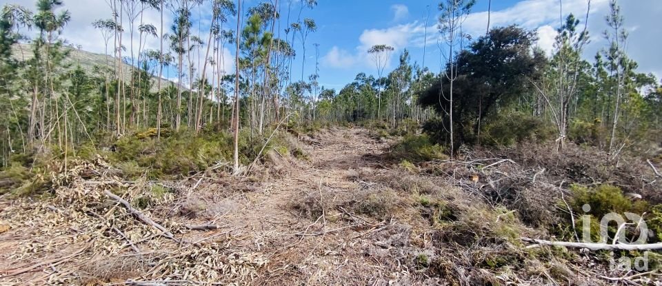 Building plot in Sopo of 19,600 m²