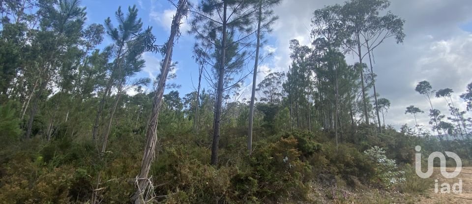 Building plot in Sopo of 19,600 m²