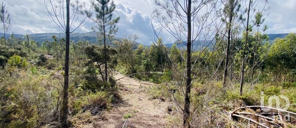 Building plot in Sopo of 19,600 m²