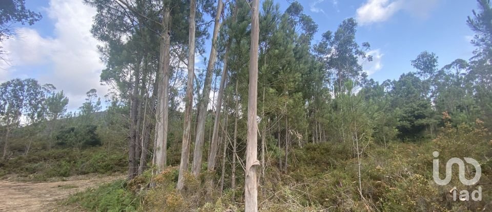 Building plot in Sopo of 19,600 m²