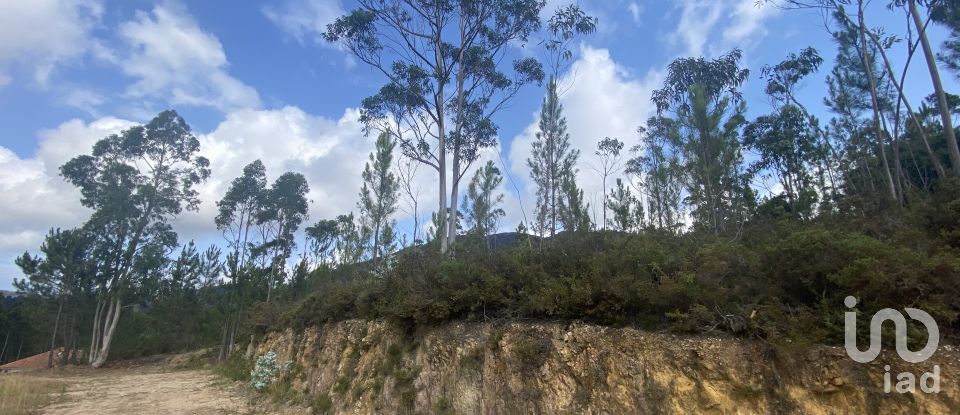 Building plot in Sopo of 19,600 m²