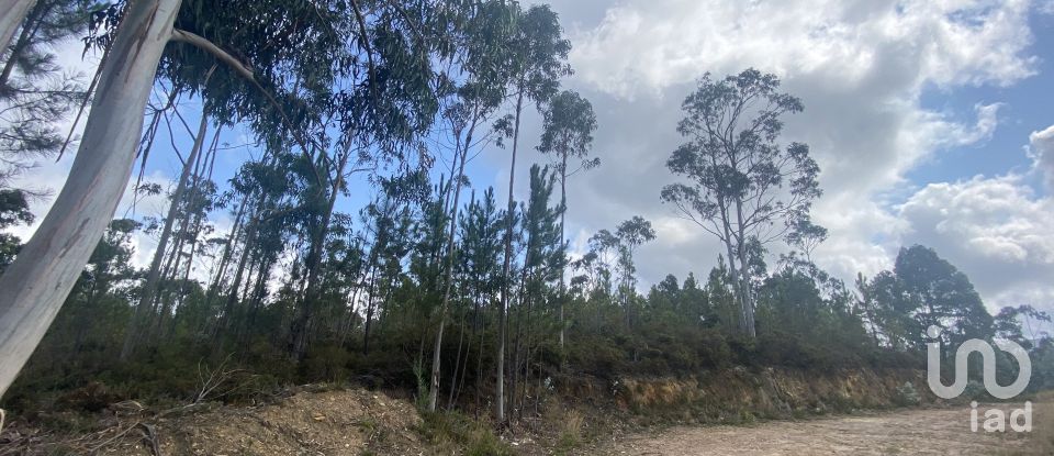 Building plot in Sopo of 19,600 m²