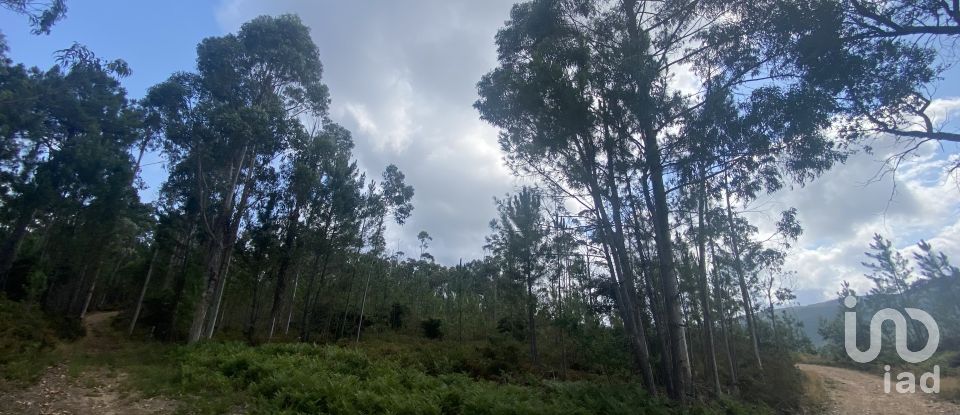 Building plot in Sopo of 19,600 m²