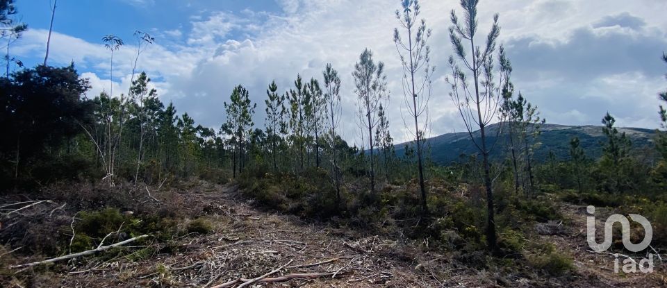 Building plot in Sopo of 19,600 m²