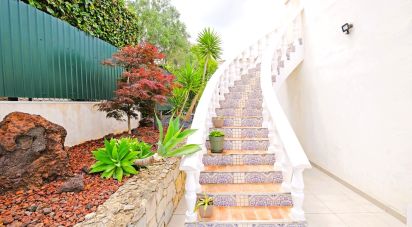 House T5 in São Brás de Alportel of 303 m²