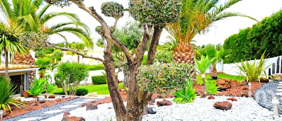 House T5 in São Brás de Alportel of 303 m²