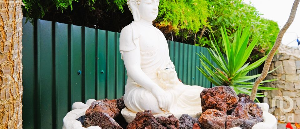 House T5 in São Brás de Alportel of 303 m²