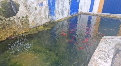 Maison T2 à Santa Maria, São Pedro e Sobral da Lagoa de 130 m²