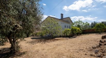 Maison T4 à Pombeiro da Beira de 359 m²