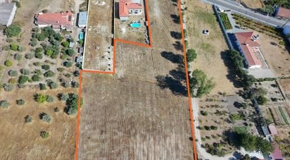 Terrain à bâtir à Ponte de Sor, Tramaga e Vale de Açor de 11 630 m²