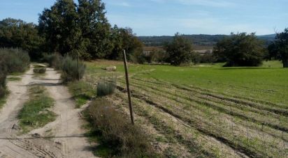 Terrain agricole à Peraboa de 130 000 m²