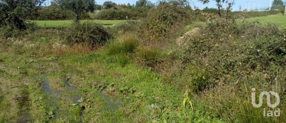 Terrain agricole à Peraboa de 130 000 m²