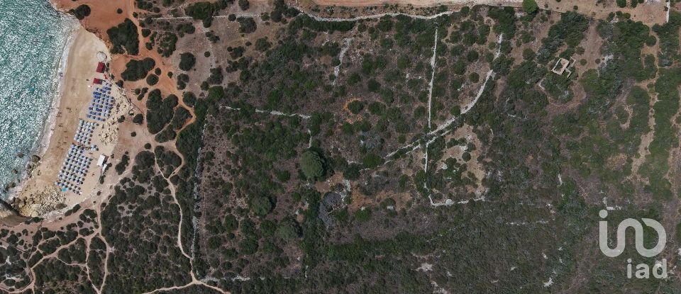 Farm land in Porches of 22,010 m²