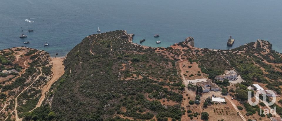 Farm land in Porches of 22,010 m²