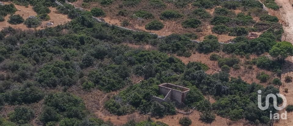 Farm land in Porches of 22,010 m²